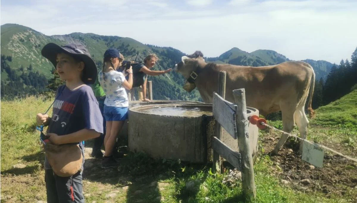 Siplinger Alpe | © DAV Biberach