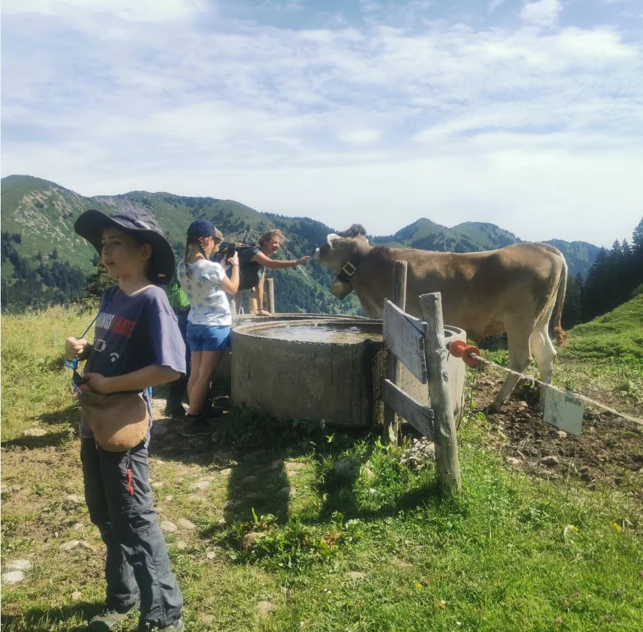 Siplinger Alpe | © DAV Biberach