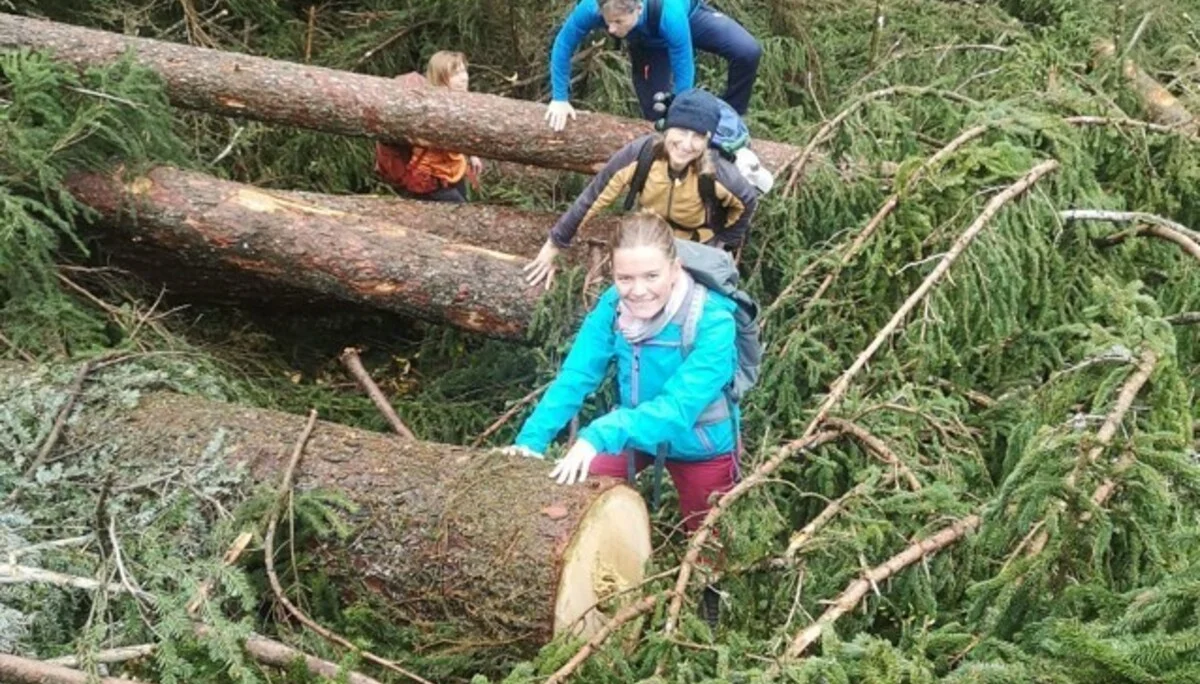 Wir bahnen uns den Weg. | © DAV Biberach