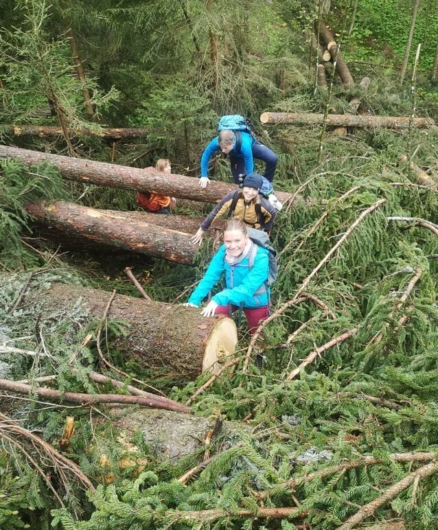 Wir bahnen uns den Weg. | © DAV Biberach