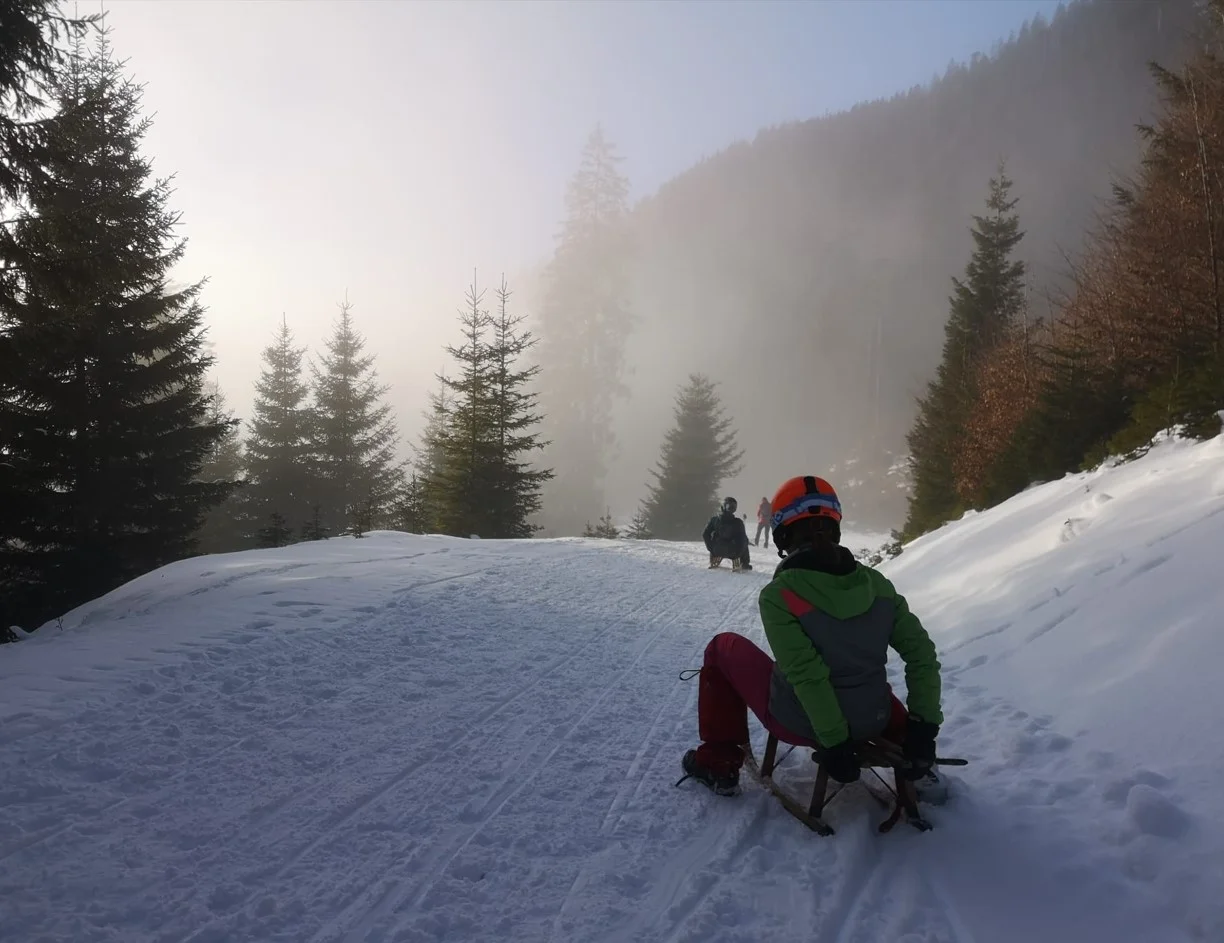 Der Nebel hat uns wieder | © Beate Hensinger