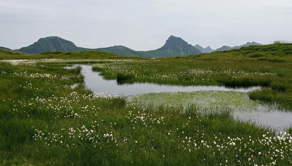 Moorsee am Portlahorn | © DAV Biberach