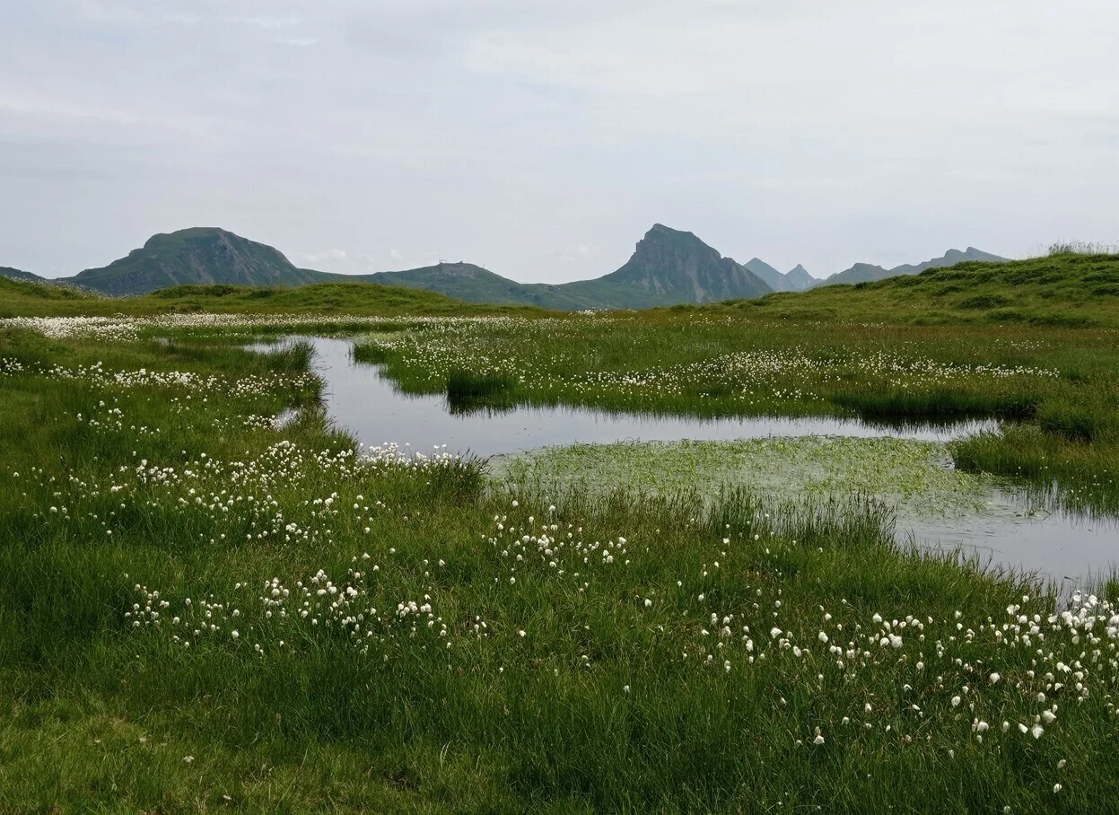 Moorsee am Portlahorn | © DAV Biberach
