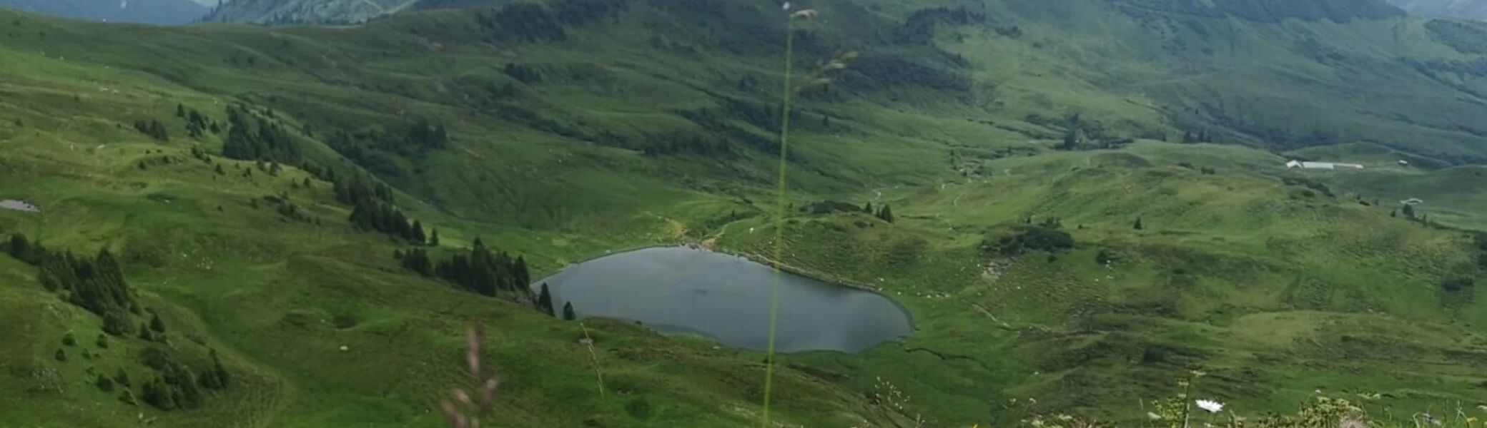Blick von der Sünser Spitze zum Sünser See | © DAV Biberach