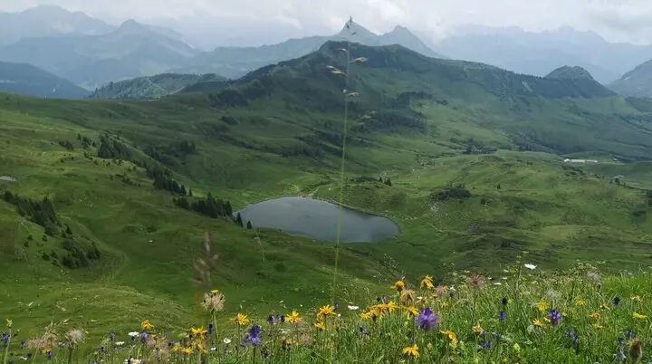 Blick von der Sünser Spitze zum Sünser See | © DAV Biberach