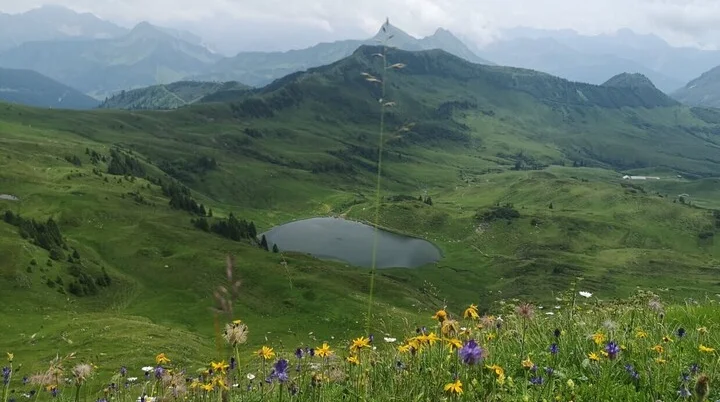 Blick von der Sünser Spitze zum Sünser See | © DAV Biberach