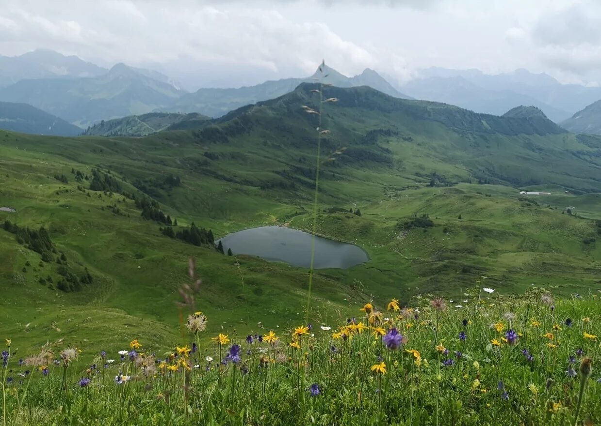 Blick von der Sünser Spitze zum Sünser See | © DAV Biberach