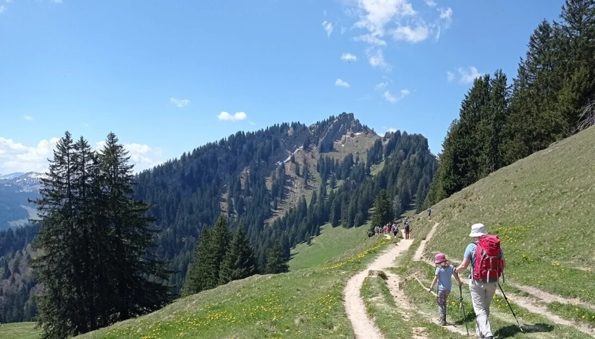 Übergang zum Steineberg | © DAV Biberach