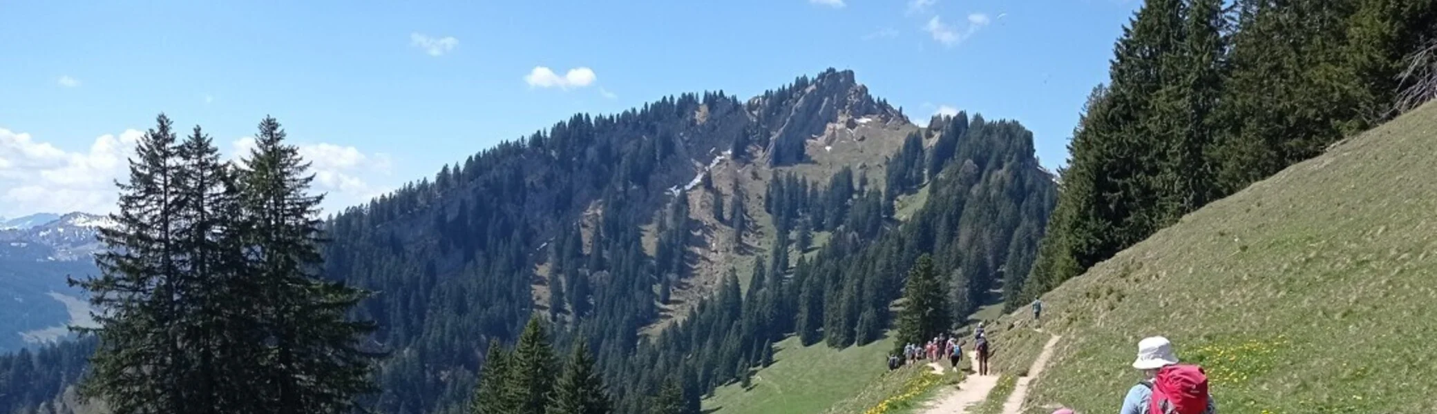 Übergang zum Steineberg | © DAV Biberach