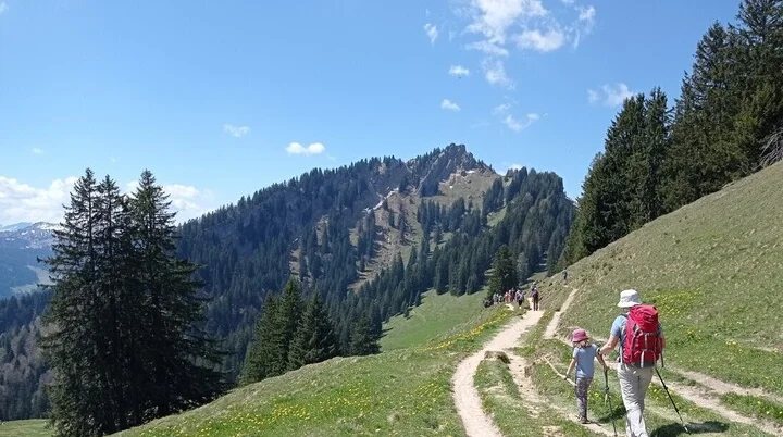 Übergang zum Steineberg | © DAV Biberach