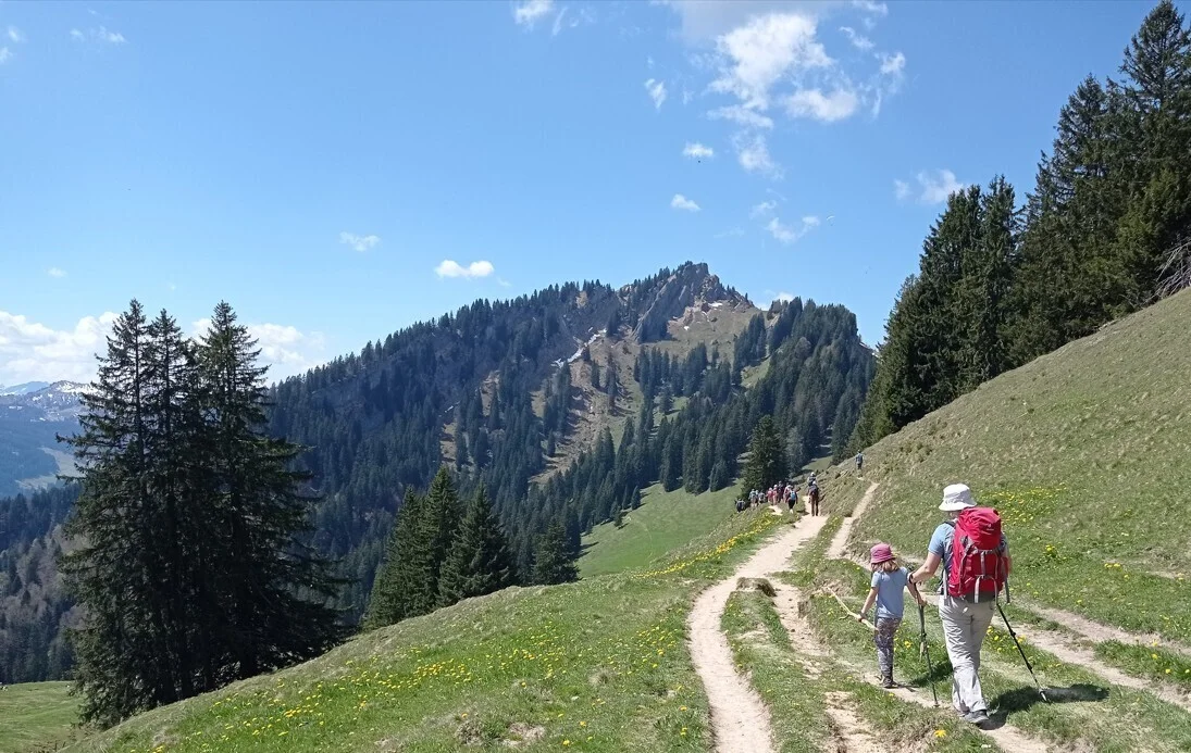 Übergang zum Steineberg | © DAV Biberach