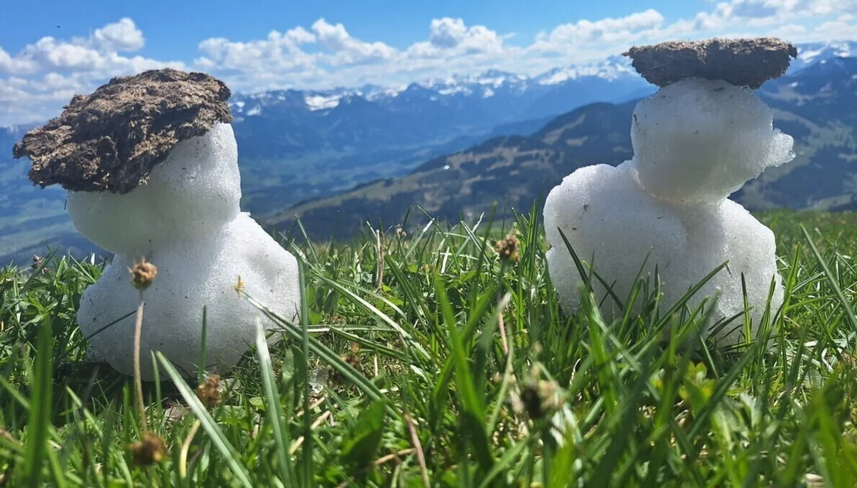 Schneemanderln | © DAV Biberach