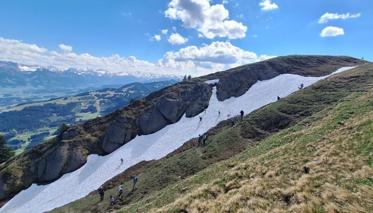Schneefeld am Steineberggipfel | © DAV Biberach