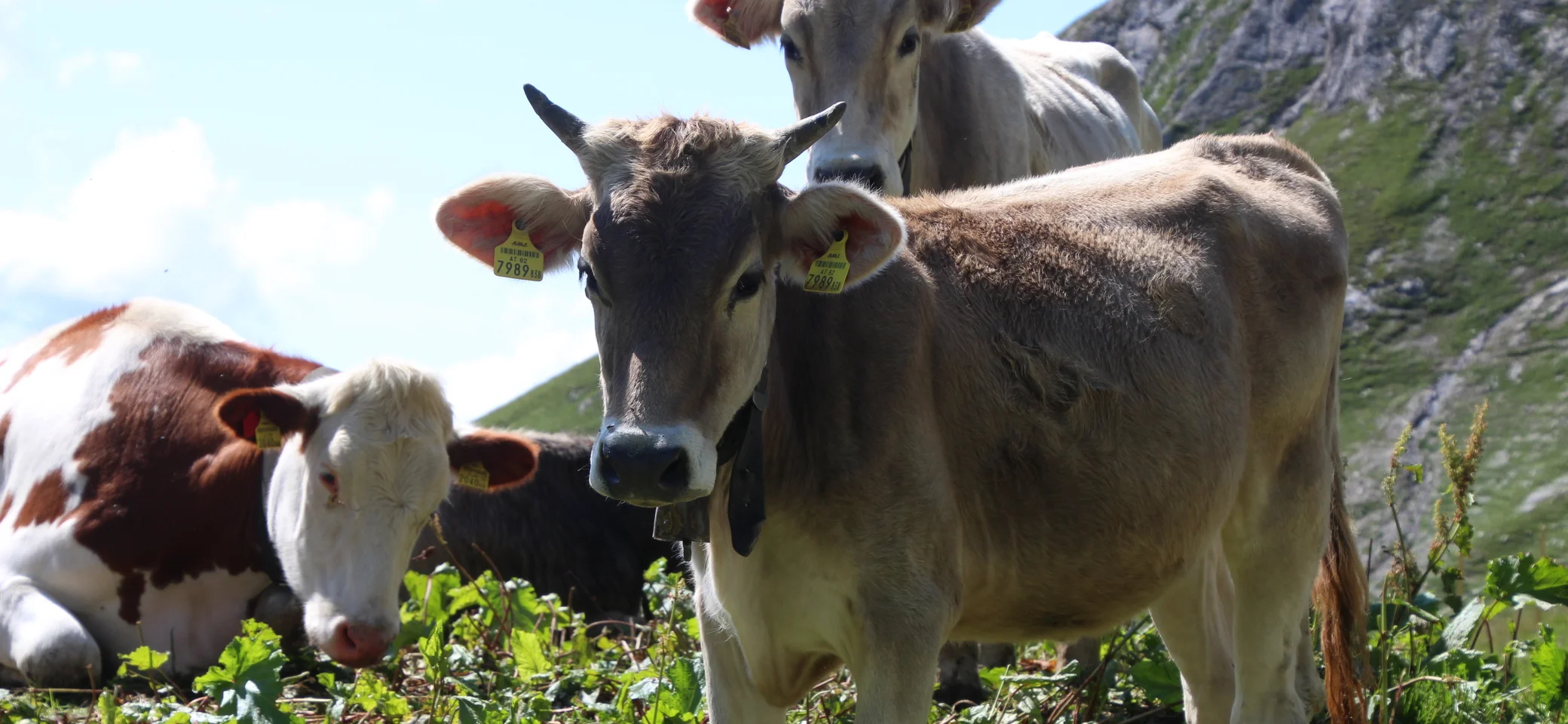 © Philippe Pieper PHOTOGRAPHY