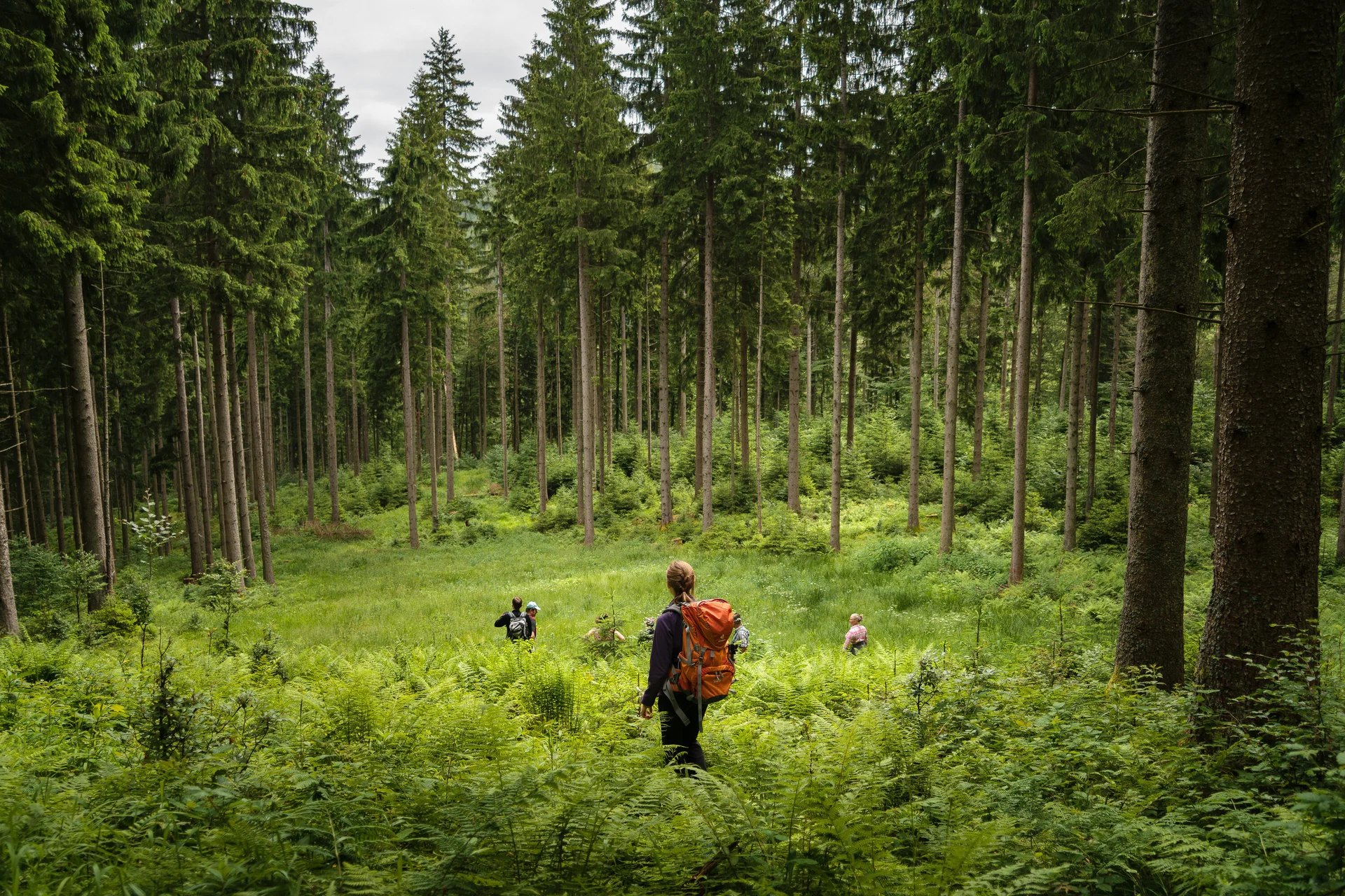Aktion Schutzwald | © 	DAV/Arvid Uhlig